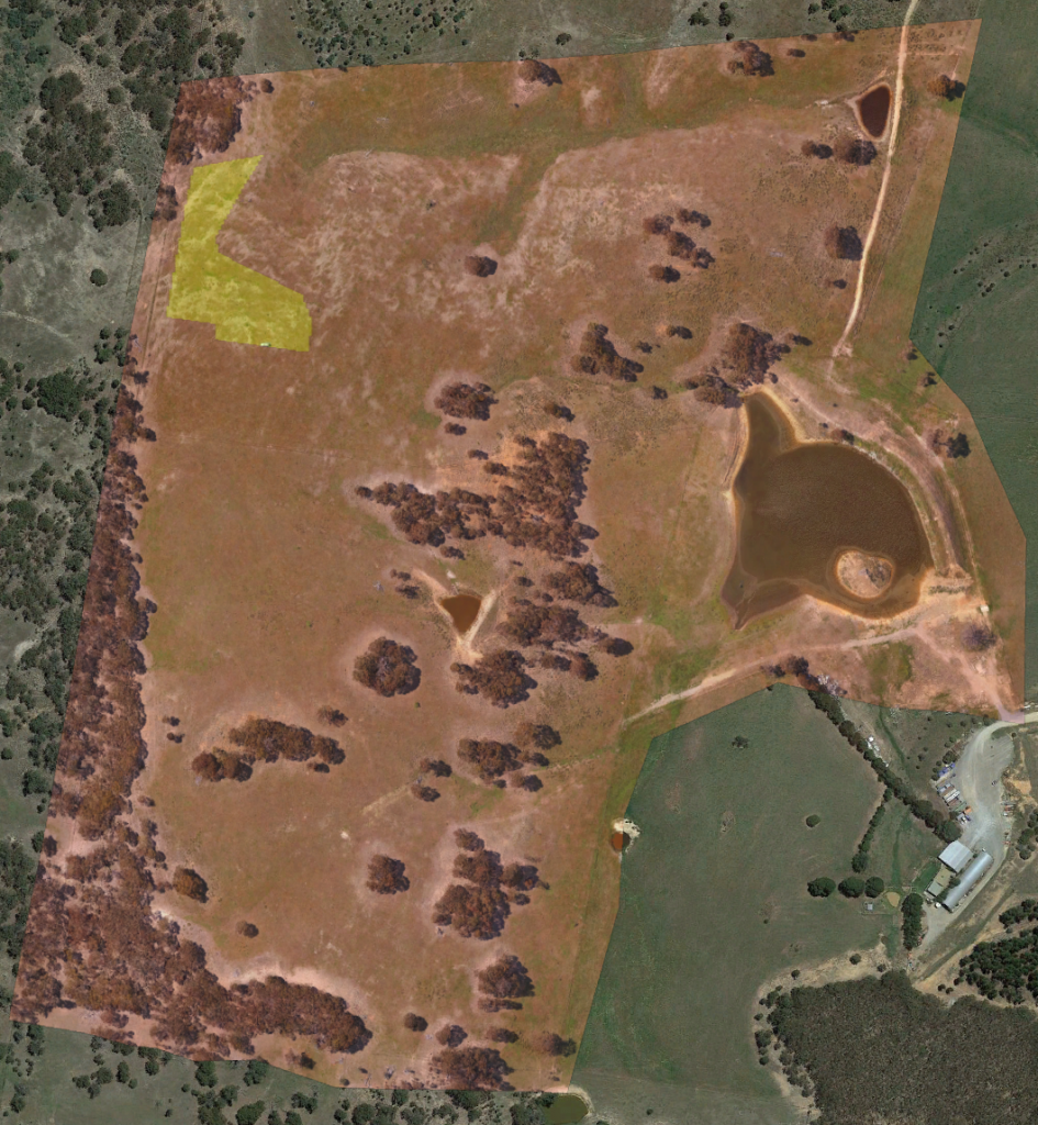 The designated house orchard area.